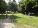 PICT0293.JPG