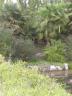 PICT0373.JPG